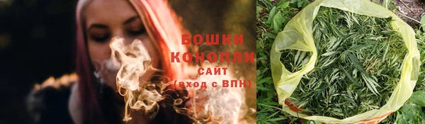 стафф Елизово