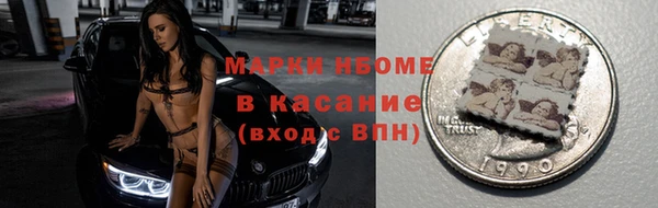 стафф Елизово