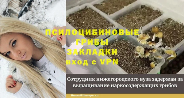 МДМА Ельня