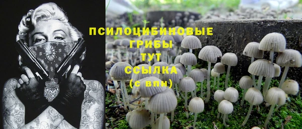 стафф Елизово