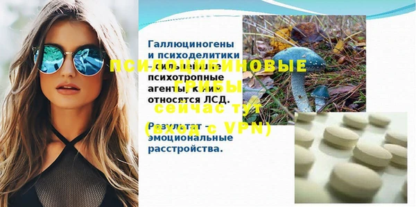МДМА Ельня