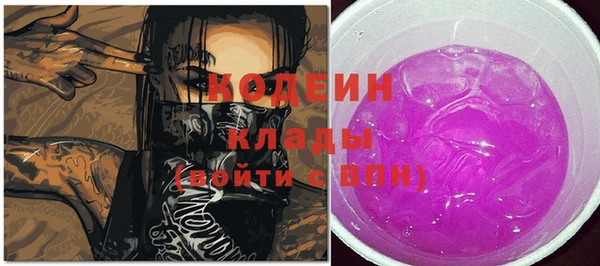 стафф Елизово