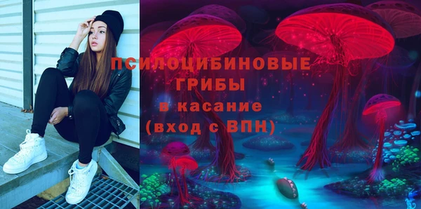 МДМА Ельня